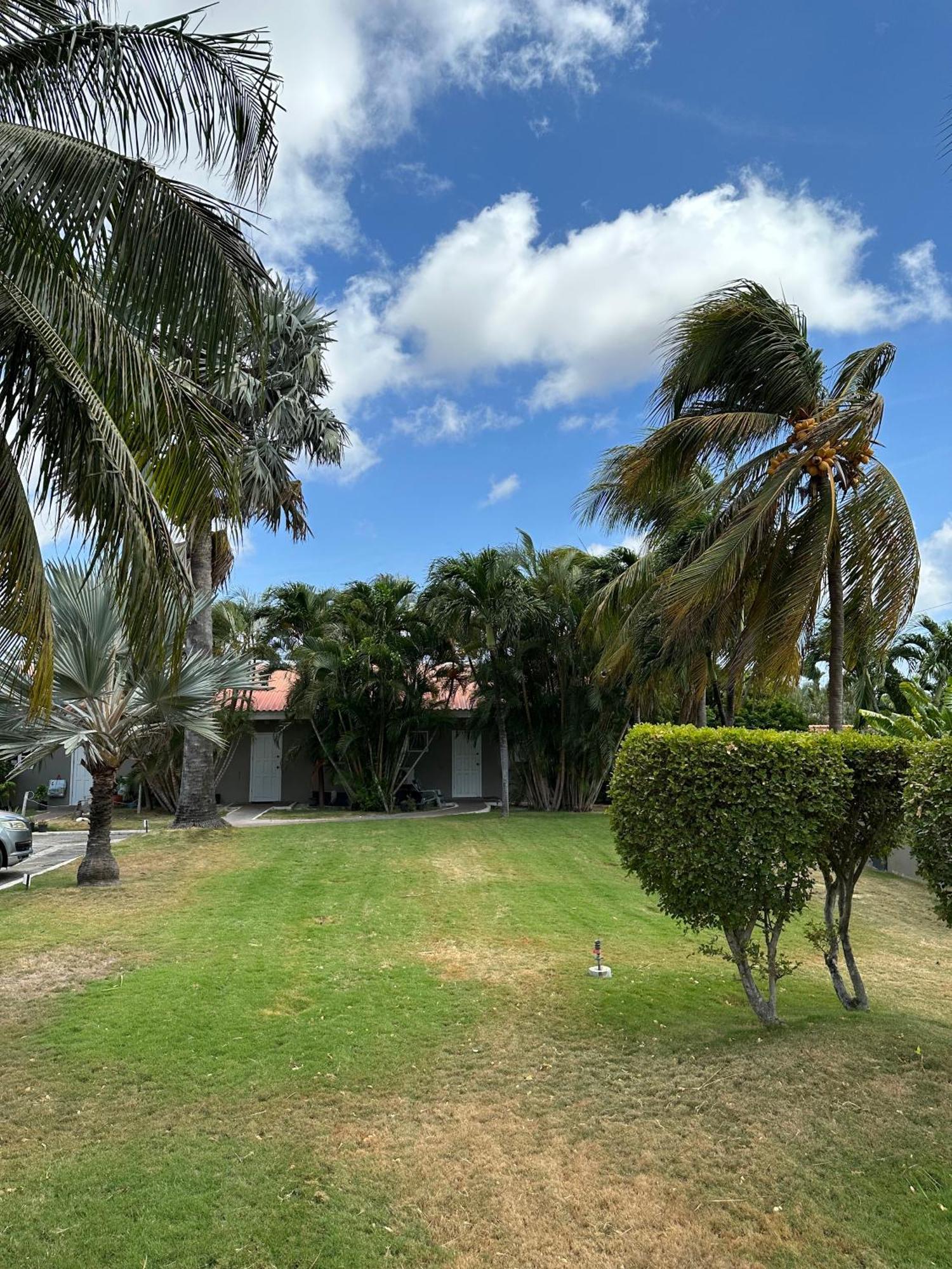 Windmill Apartments Curacao Willemstad Luaran gambar